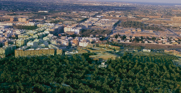 El Ayuntamiento incrementa un 33% los presupuestos para la lucha contra el picudo, la protección de los espacios naturales, la promoción del Camp d’Elx y la creación y mejora de zonas verdes