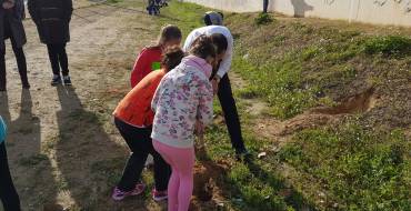 Alumnos del colegio La Paz de Torrellano plantan 260 árboles para conmemorar el Día del Árbol