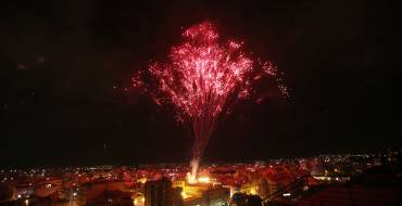 La Palmera de sant Ramon donarà per finalitzades les Festes d’Elx