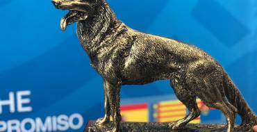 Unidad Canina gana Campeonato Nacional de Perros Detectores de Sustancias