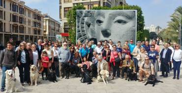 Elche se convierte en sede valenciana del Día Internacional del Perro Guía