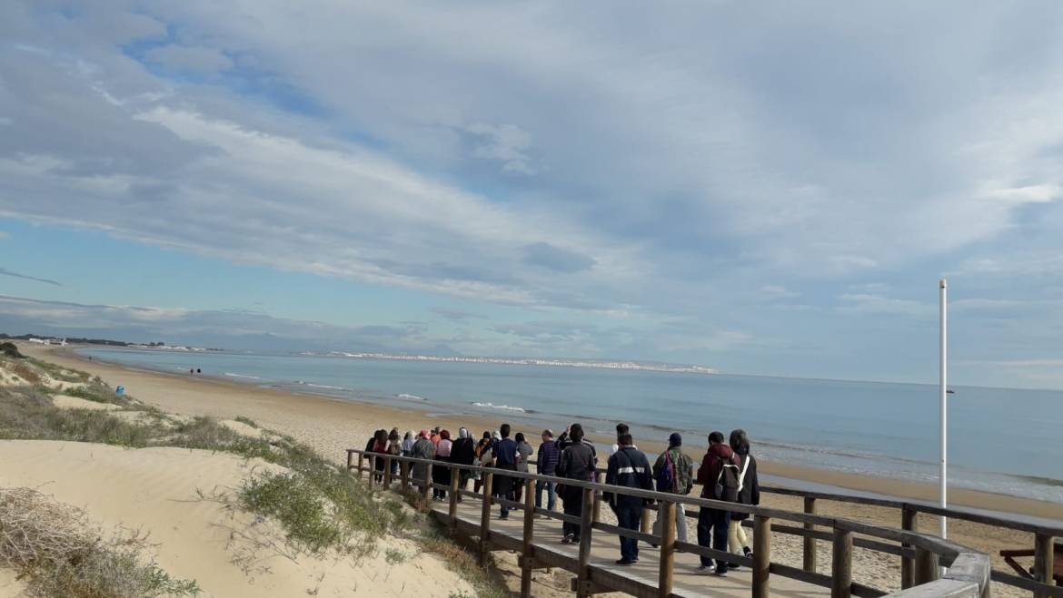 Paseo saludable El Pinet