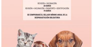 Arranca la Campaña de Vacunación Antirrábica 2019 para perros, gatos y hurones