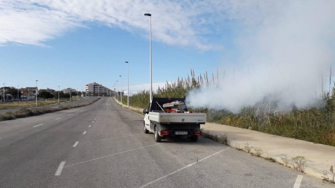 El Ayuntamiento de Elche impulsa la lucha contra los mosquitos con planes semanales dirigidos a las pedanías y barrios de la ciudad