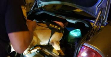 La Unidad Canina de la Policía Local participó en más de 100 controles de drogas y circulación el año pasado