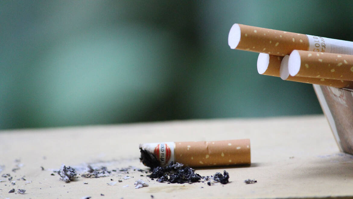 El Día Mundial Sin Tabaco recuerda los efectos perniciosos del fumar sobre la salud y la naturaleza
