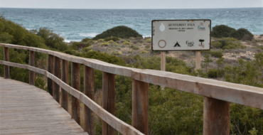 El Ayuntamiento y Costas mejoran los accesos a las playas de Elche con dos nuevas pasarelas y un sendero para proteger las dunas