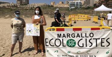 La Concejalía de Medio Ambiente, Margalló y Aigües d’Elx lanzan una campaña para proteger los nidos de tortugas marinas en las playas del Mediterráneo