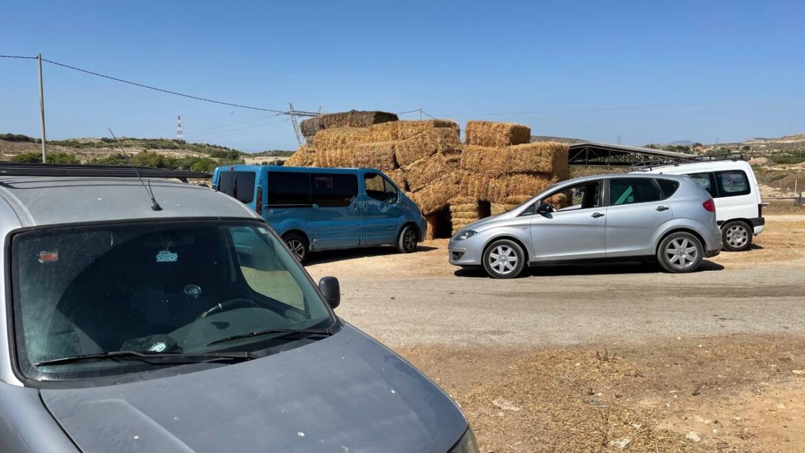 La Policía Local de Elche impide la venta ilegal de una decena de corderos vivos en una explotación ganadera