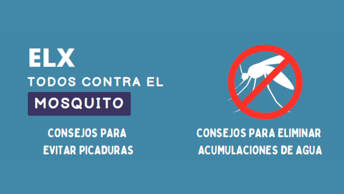 El Ayuntamiento de Elche y la empresa CTL inician una campaña de concienciación para atajar la proliferación de mosquitos