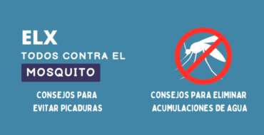 El Ayuntamiento de Elche y la empresa CTL inician una campaña de concienciación para atajar la proliferación de mosquitos