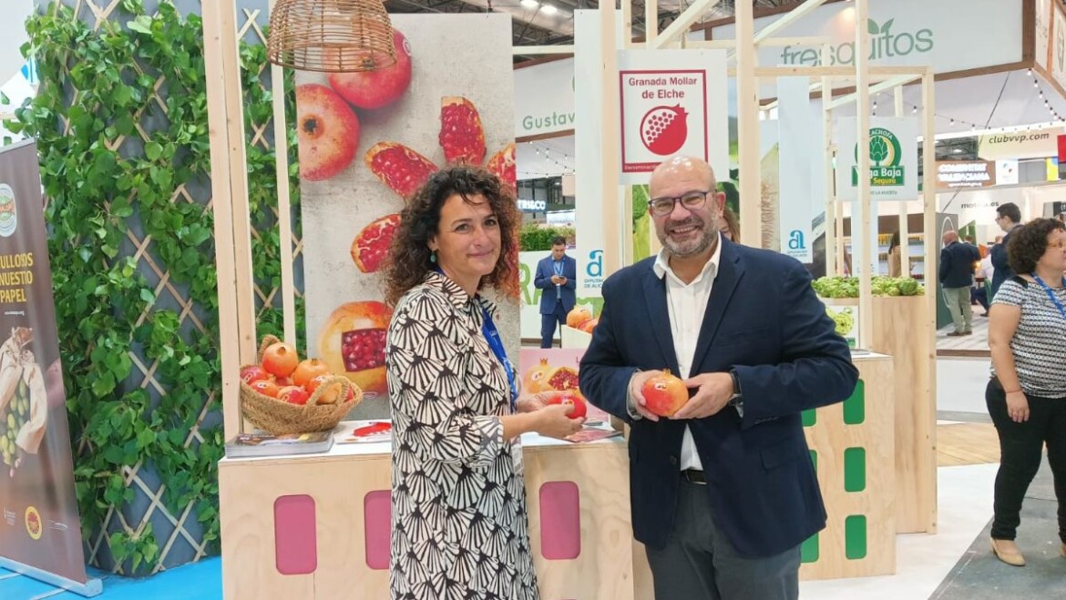 El edil de Desarrollo Rural respalda a las empresas del Camp d’Elx presentes en la feria Fruit Attraction