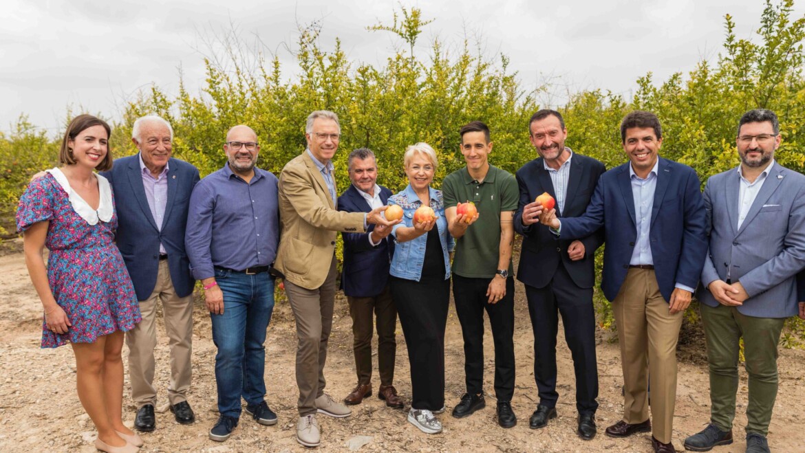 El tall simbòlic de la magrana mollar d’Elx realitzat pel porter de l’Elx CF Edgar Badia dona per iniciada la campanya de recol·lecció