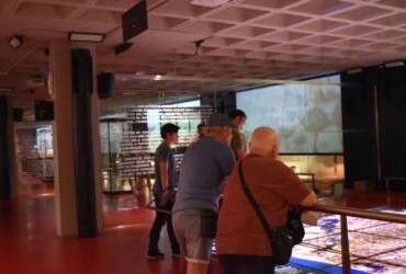 Los museos de Elche celebran su Día Internacional con entrada gratuita a sus instalaciones este 18 de mayo