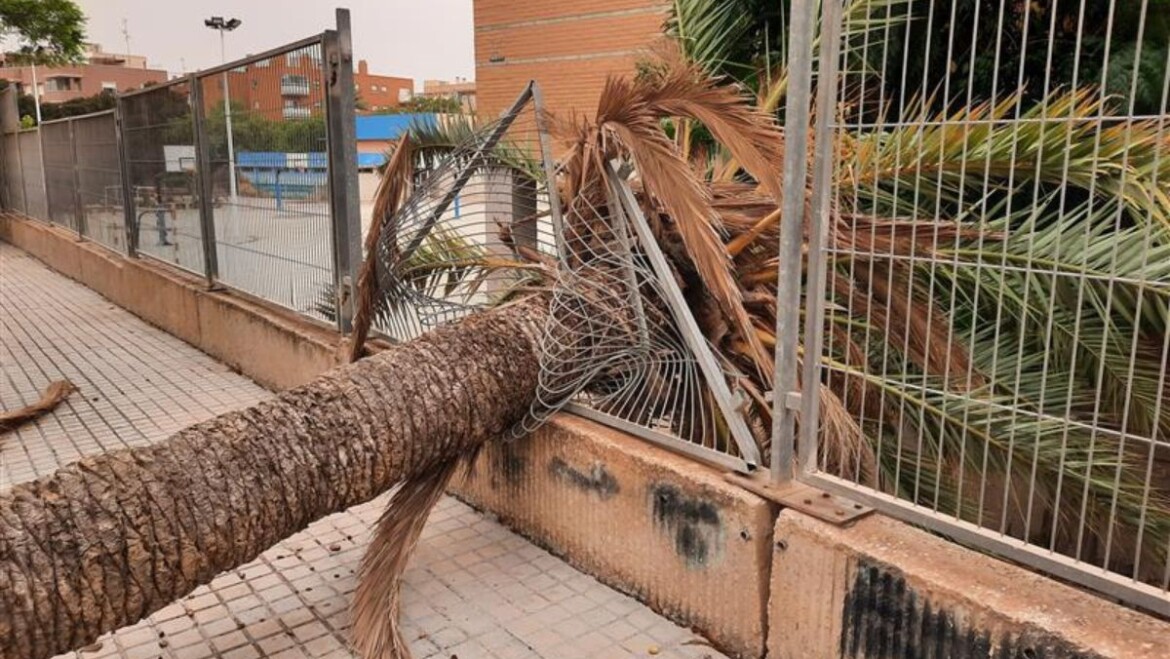 Policía Local realiza más de 80 actuaciones este domingo debido al viento