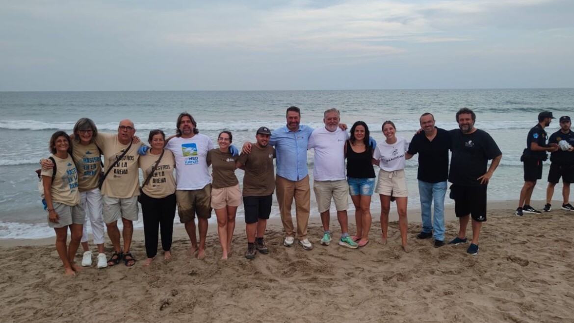 Suelta de tortugas boba en la playa del Carabassí