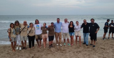 Suelta de tortugas boba en la playa del Carabassí