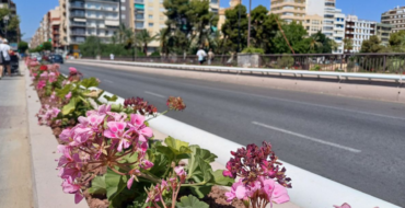 El pont d’Altamira recupera les tradicionals jardineres