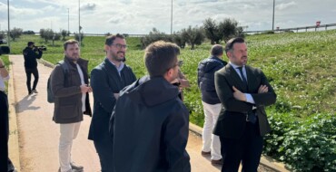 El proyecto Elx Natura convierte el entorno de la Ronda Sur en una gran zona verde