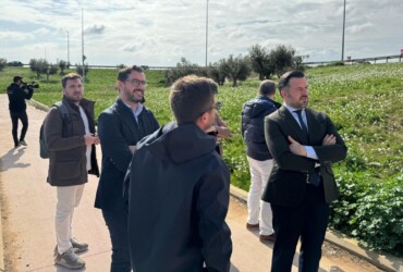 El projecte Elx Natura convertix l’entorn de la Ronda Sud en una gran zona verda